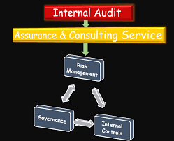 Chief Internal Auditor