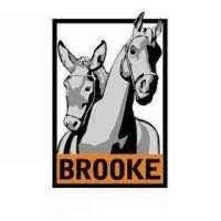 Brooke Hospital For Animals