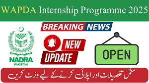Internship