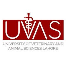 UVAS